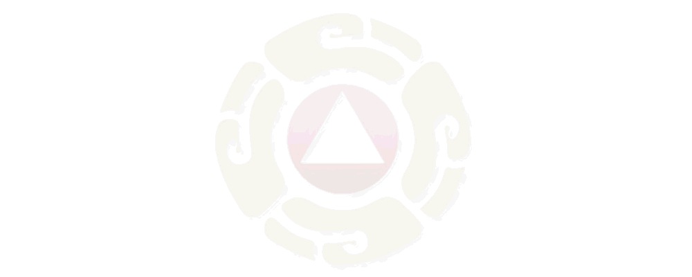 Banner de Protección Civil Tapachula